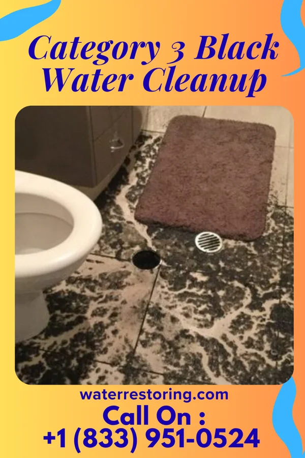 Category 3 Black Water Cleanup in St. Joseph, TN