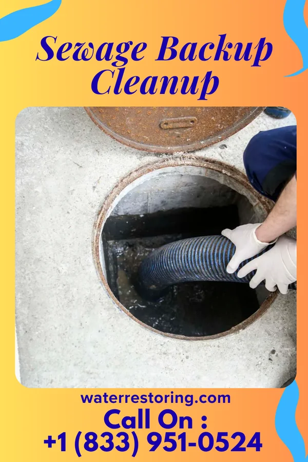 Sewage Backup Cleanup in St. Joseph, TN